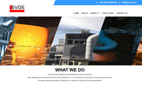 Web Design and Domain Hosting Solution for evosint.com